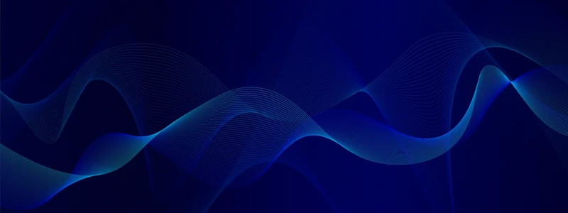 Search Engine Optimization (SEO)