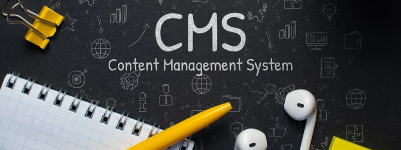 WordPress & CMS Development