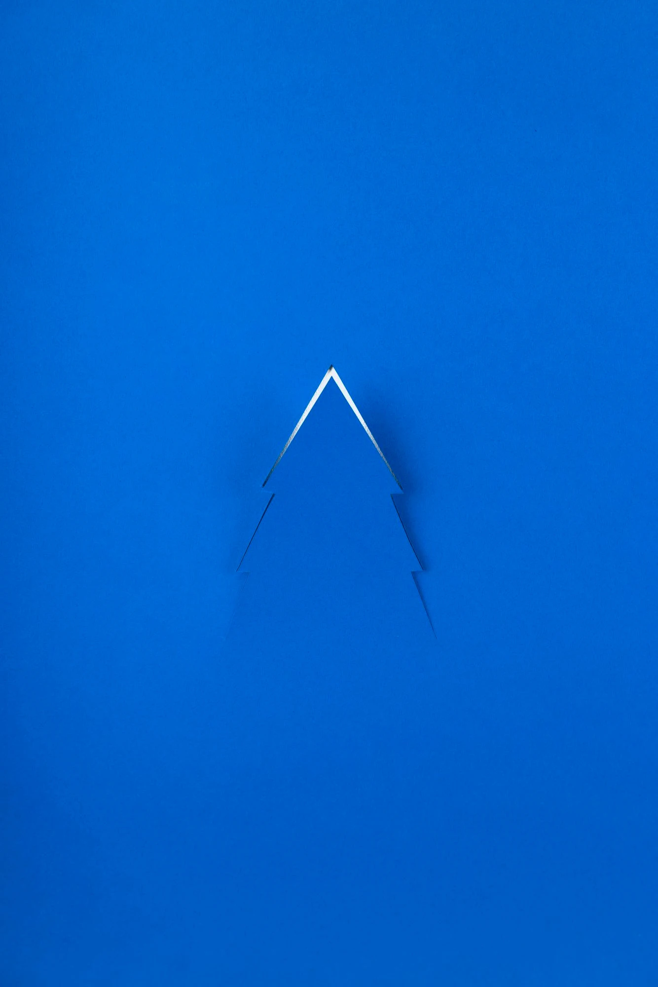 Real Estate & Property-image-0