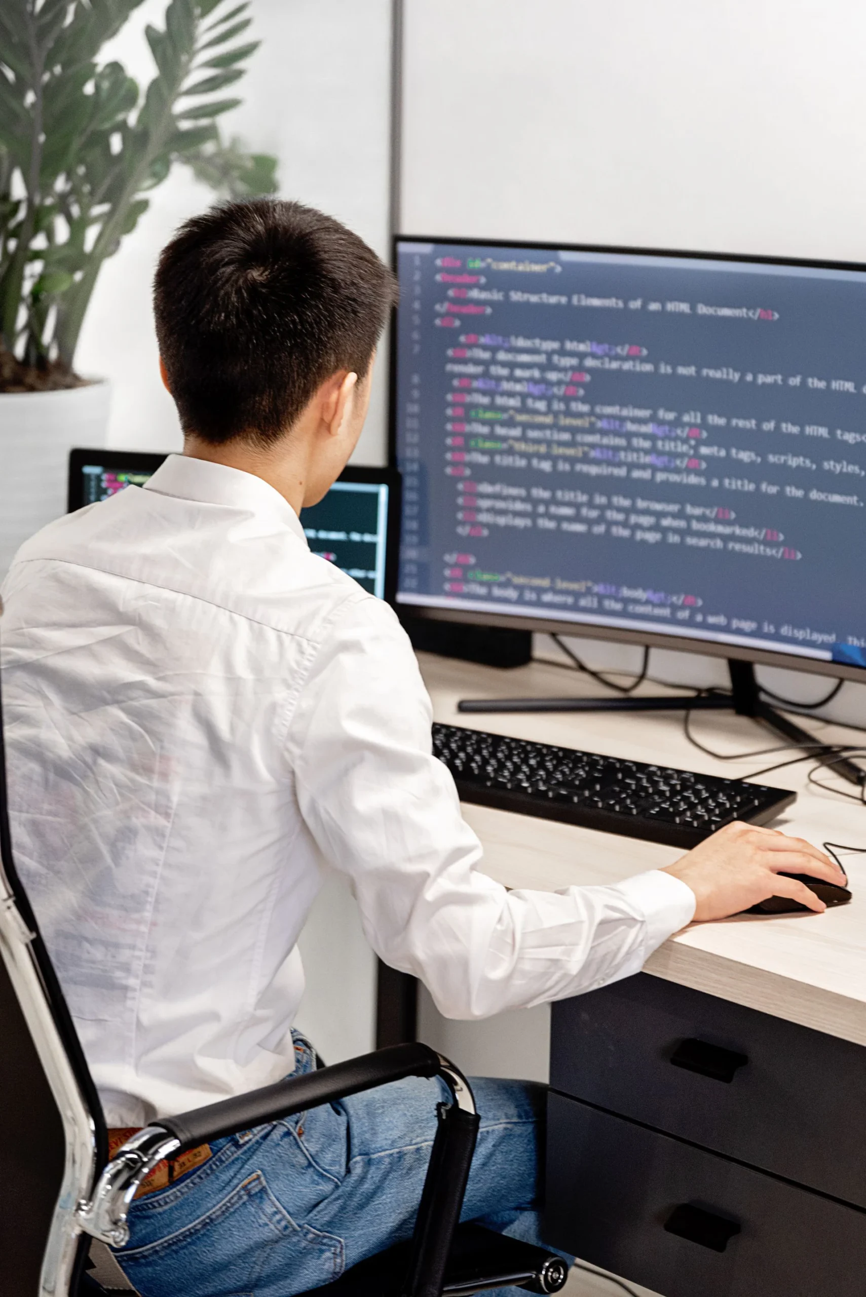 web development scaled