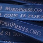 custom WordPress services