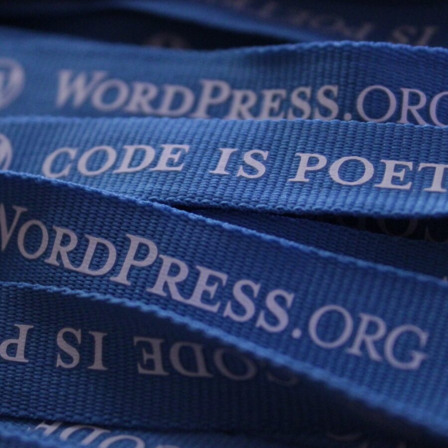 custom WordPress services