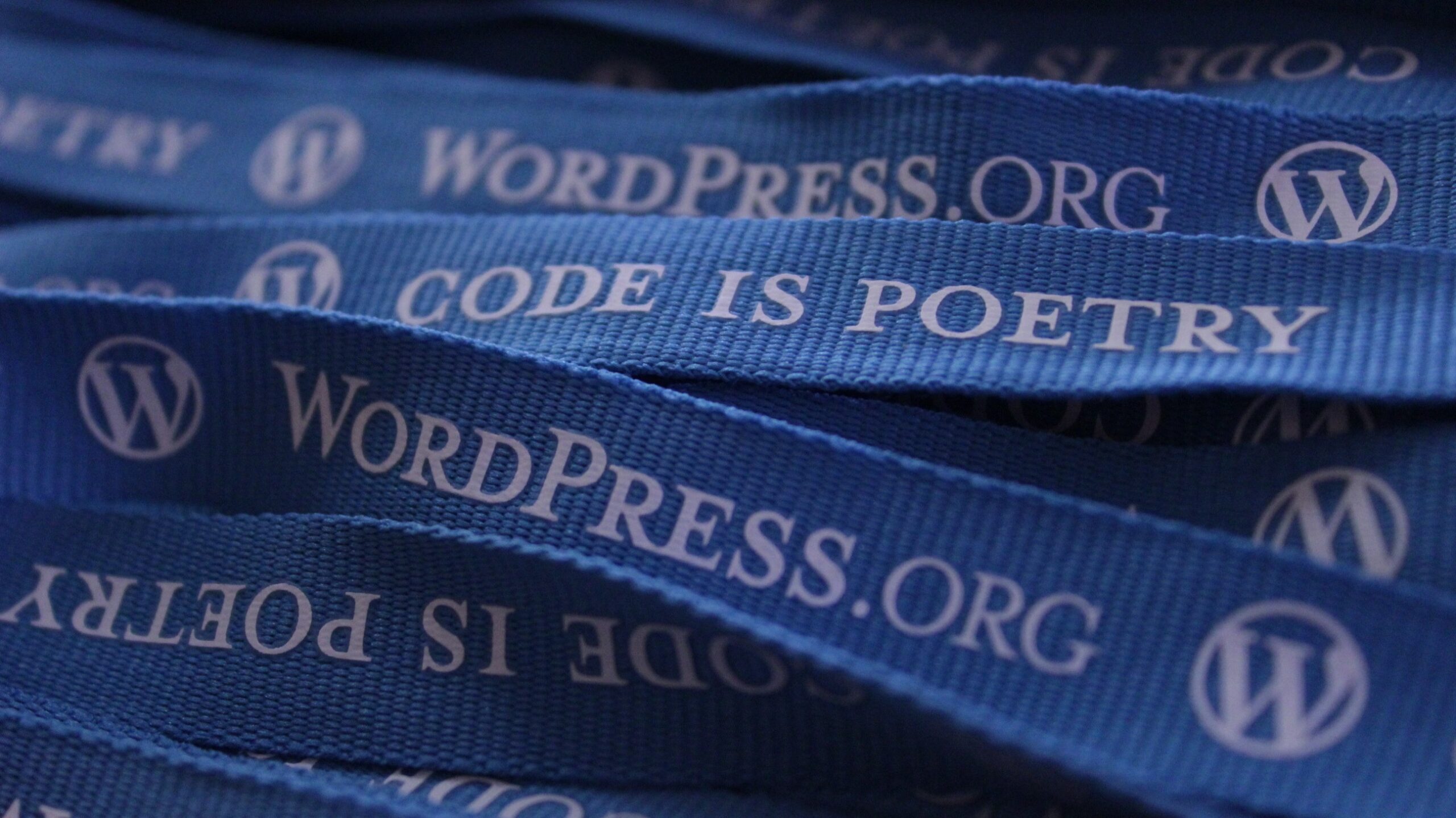custom WordPress services
